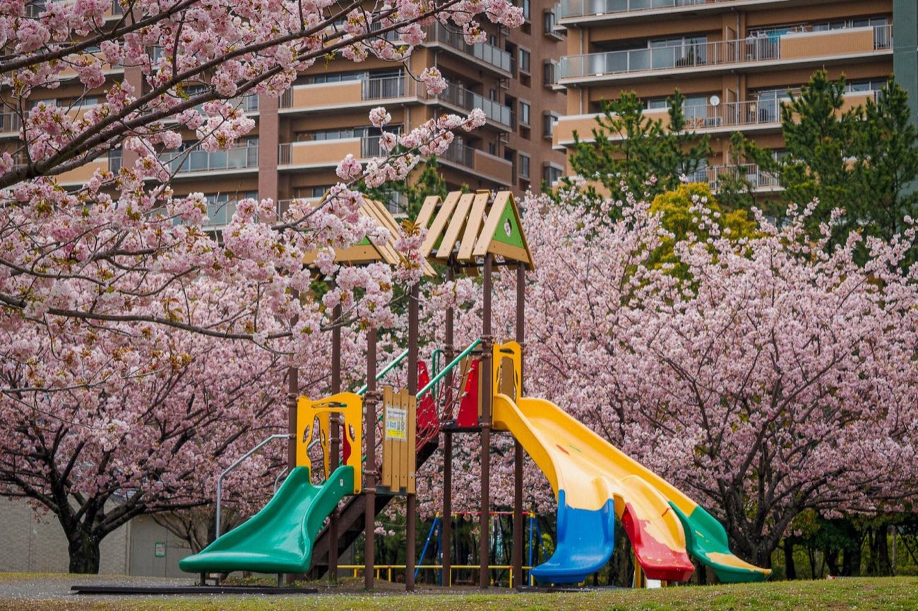 桜と遊具のある園庭